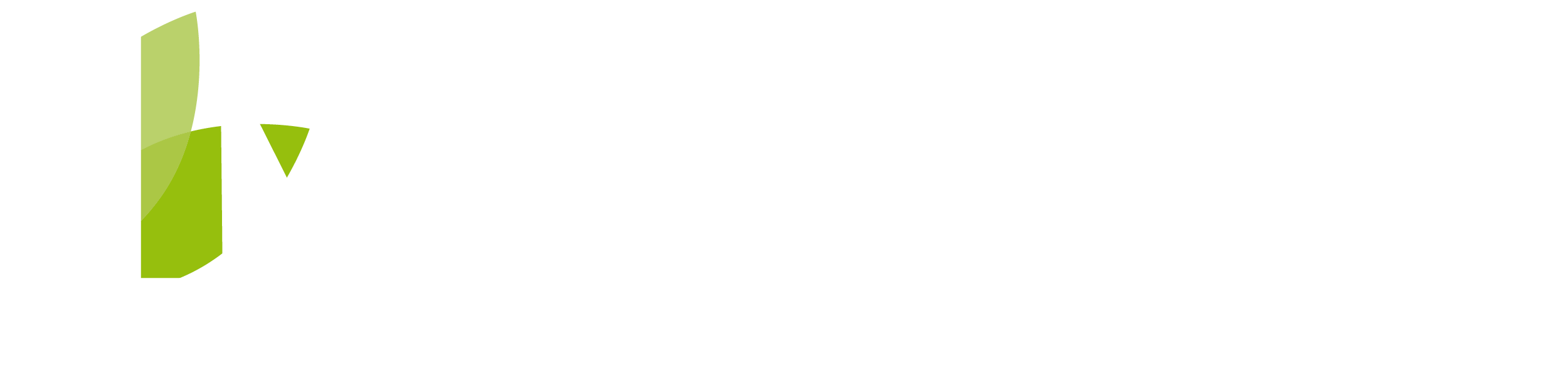 logo light